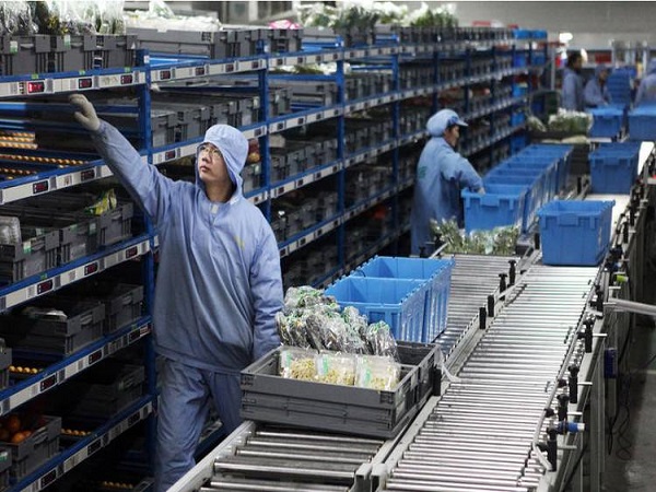 上海到杭州倉(cāng)儲(chǔ)冷鏈物流 上海到杭州倉(cāng)儲(chǔ)冷鏈物流